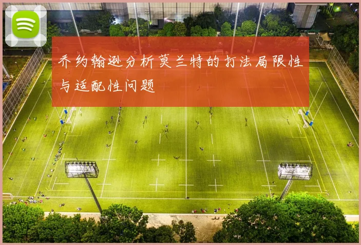 乔约翰逊分析莫兰特的打法局限性与适配性问题