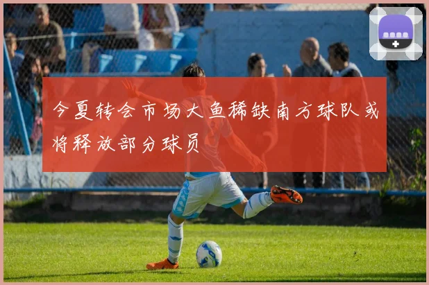今夏转会市场大鱼稀缺南方球队或将释放部分球员